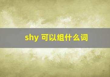 shy 可以组什么词